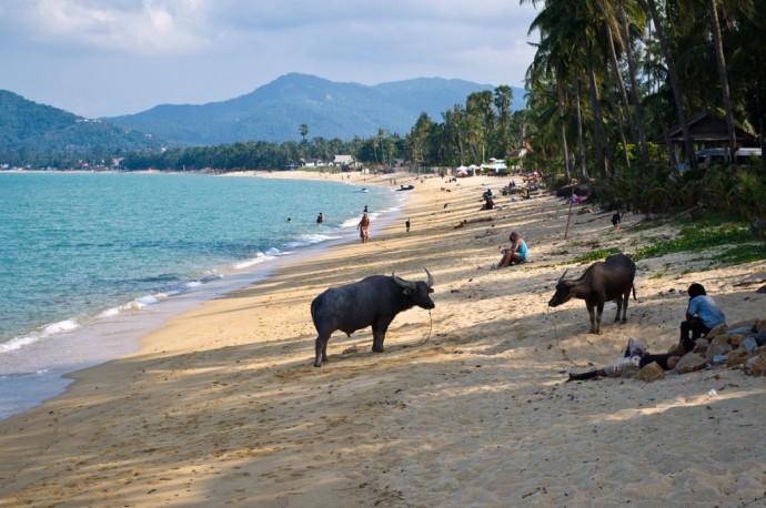 Mae Nam Beach, Koh Samui