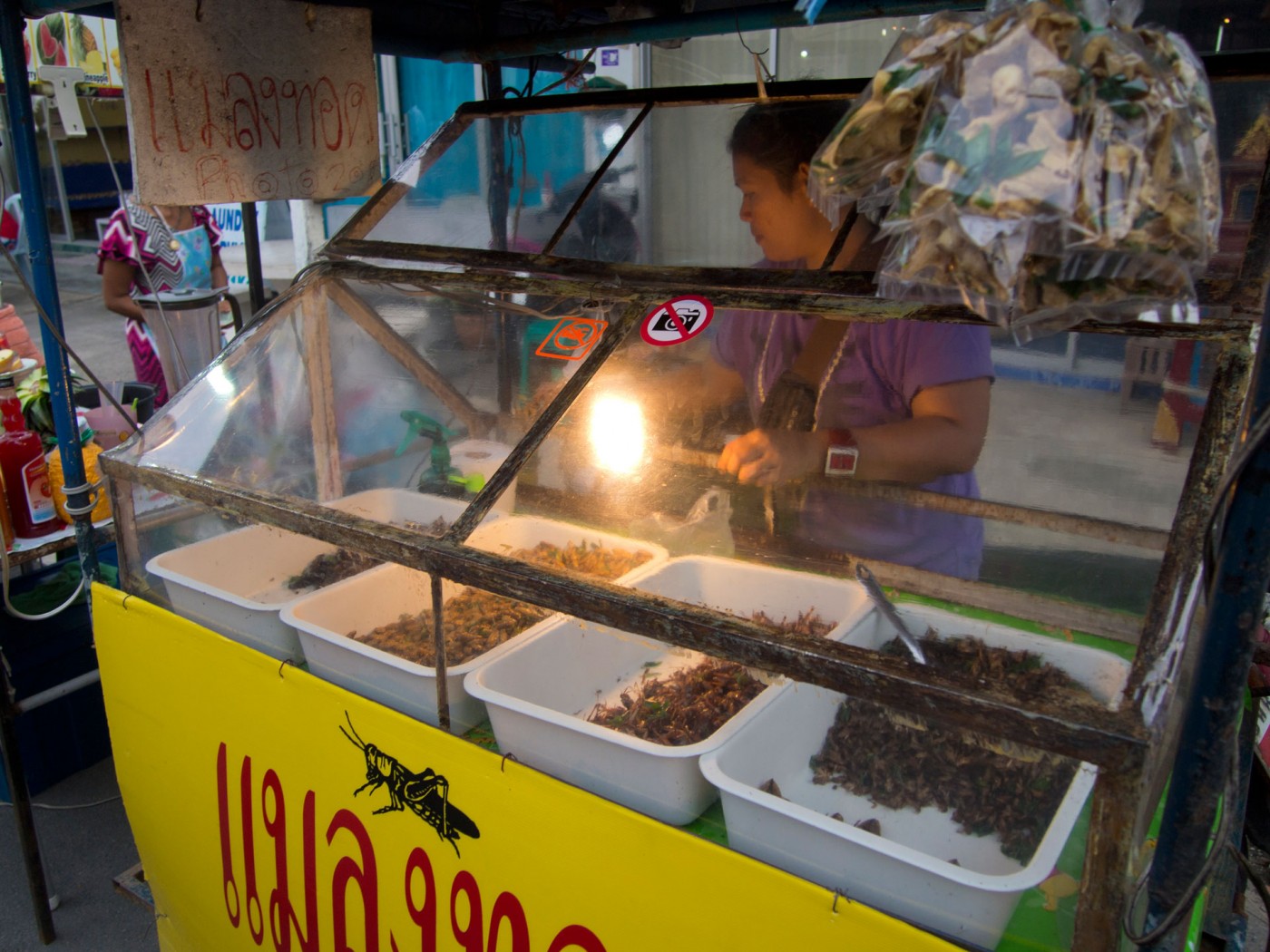 Verkaufsstand mit Insekten auf der Walking Street in Lamai, Koh Samui