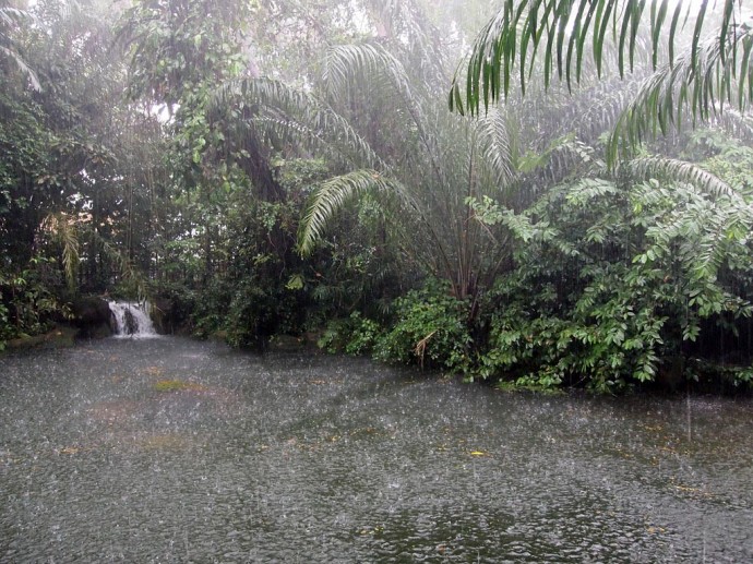 Regen