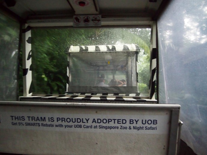 In der Tram