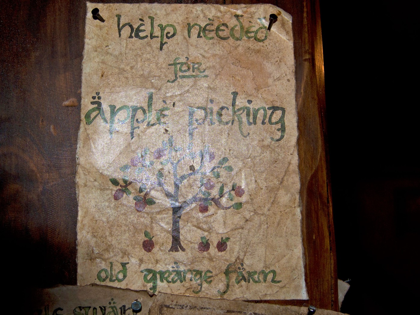 Green Dragon, Hobbiton Movie Set Tours, Matamata, Herr der Ringe, der Hobbit, Neuseeland