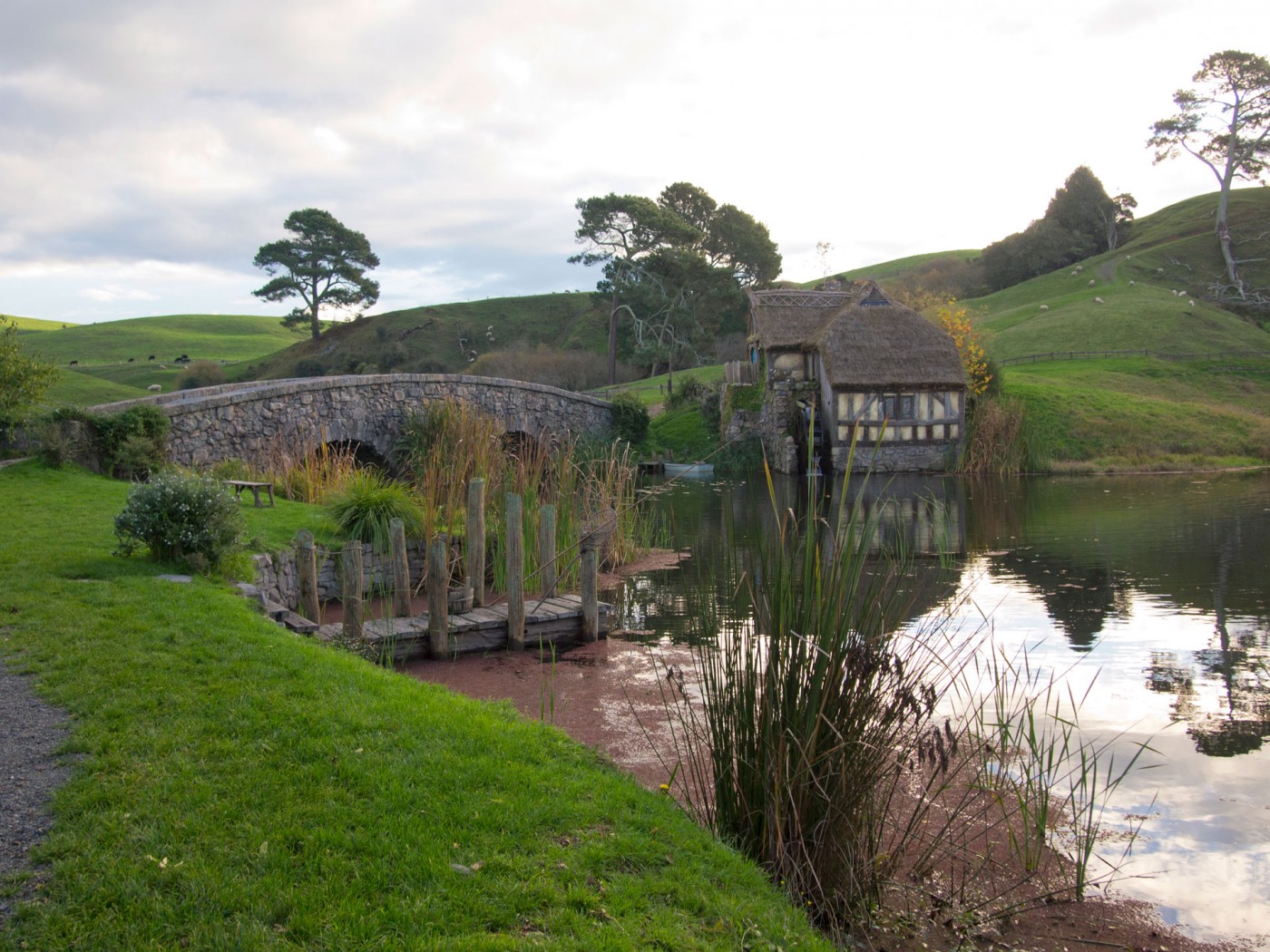 Green Dragon, Hobbiton Movie Set Tours, Matamata, Herr der Ringe, der Hobbit, Neuseeland