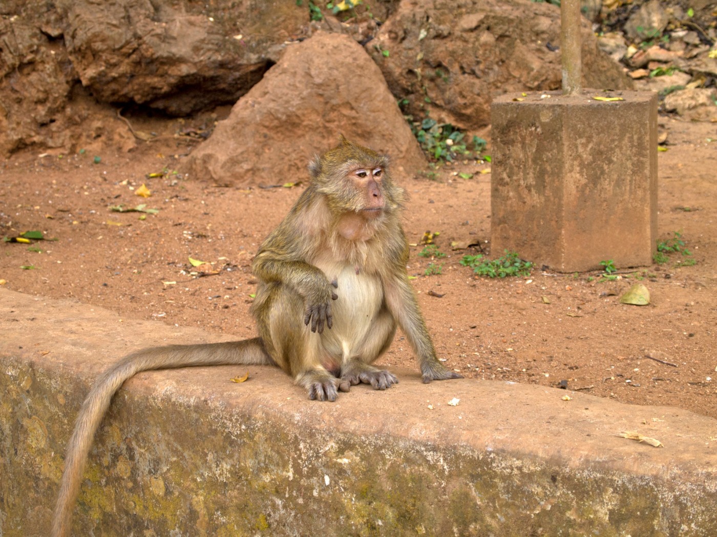 Suwankuha Temple, Monkey Cave, Phuket, Thailand