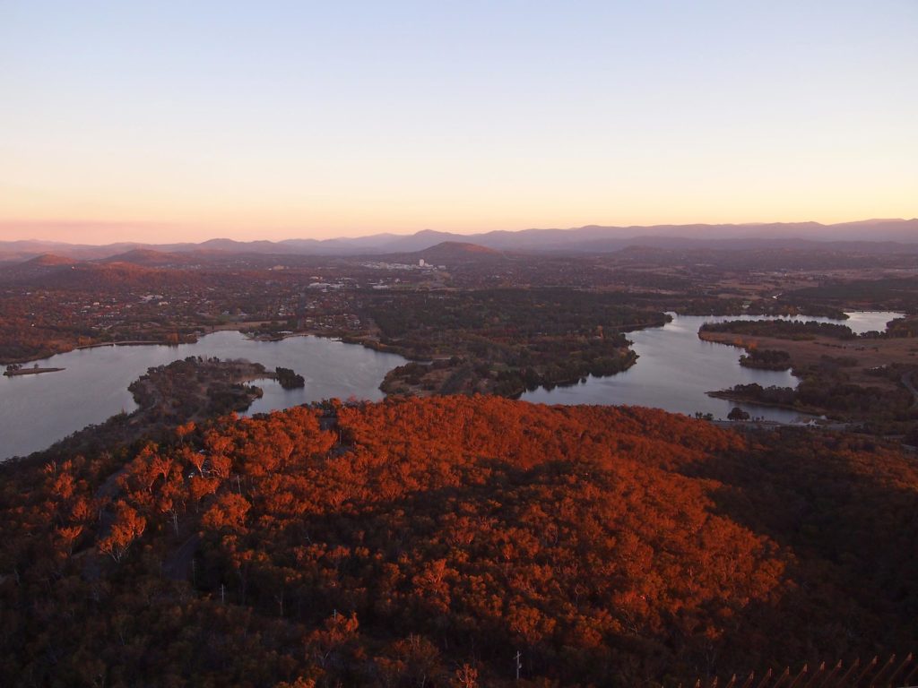 Aussicht vom Black Mountain Tower in Canberra