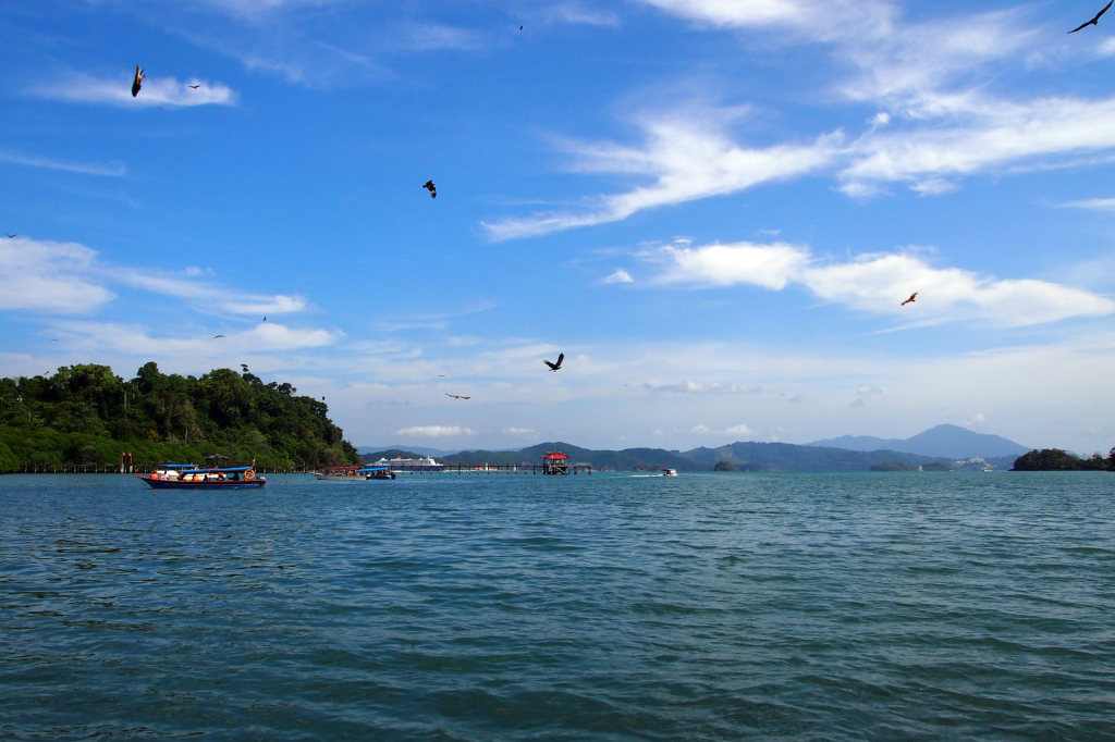 Flying eagles near Pulau Singa Besar, Langkawi, Malaysia