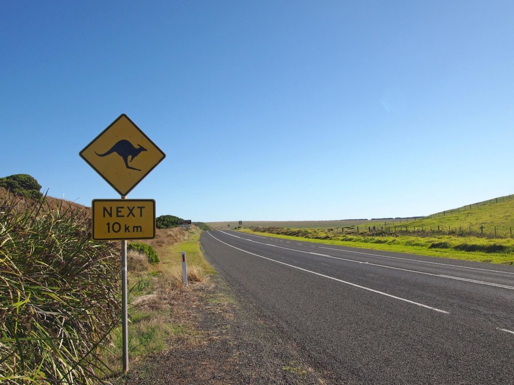 Känguru-Schild an der Great Ocean Road
