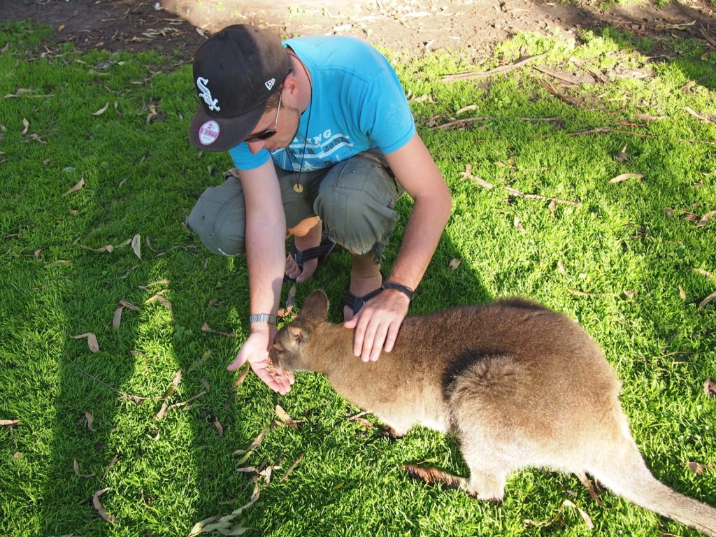 Tobi beim Füttern eines Wallabys