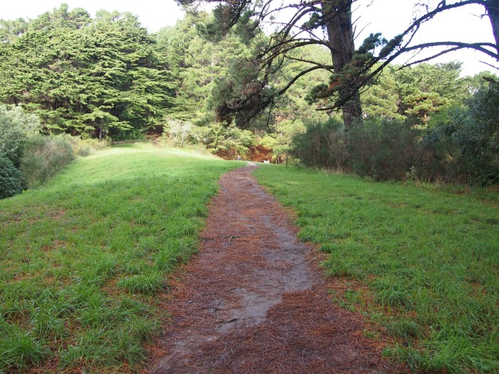 Weg durch den Charles Plimmer Park zum Mount Victoria, Wellington