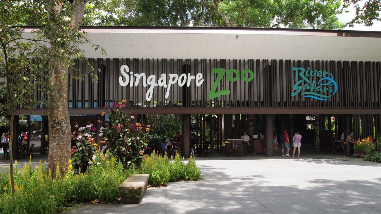 10 things you should not miss in Singapore | Travel blog about ...