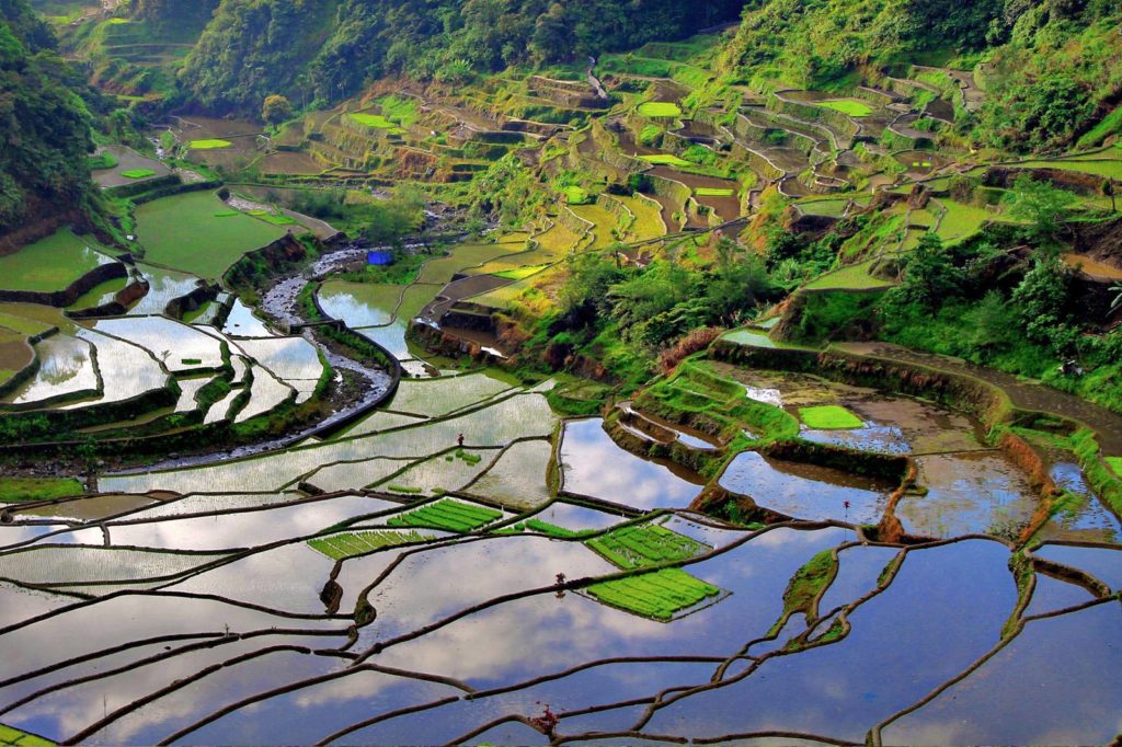 Rice terraces and mountains in the Philippines
