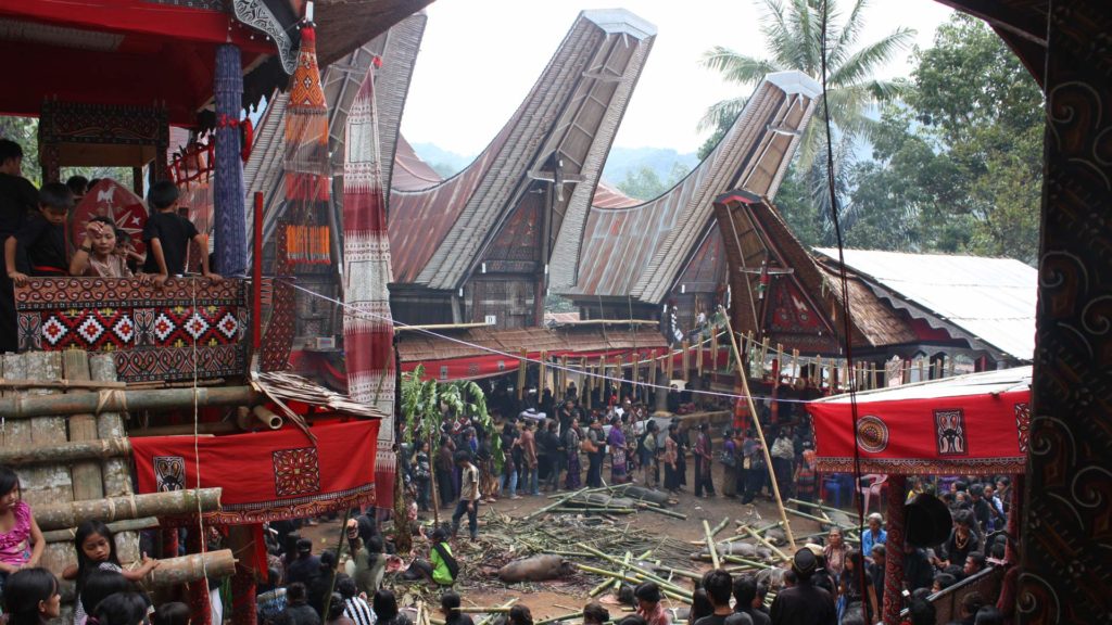 Funeral ceremony and the typical Toraja houses in Tana Toraja