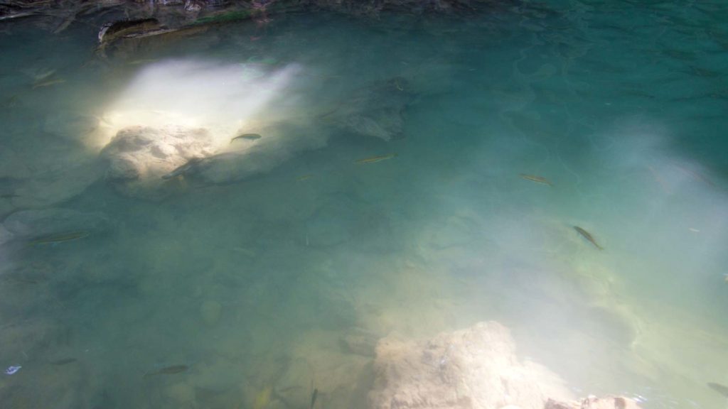 Fische im Wasser des Erawan Wasserfalls