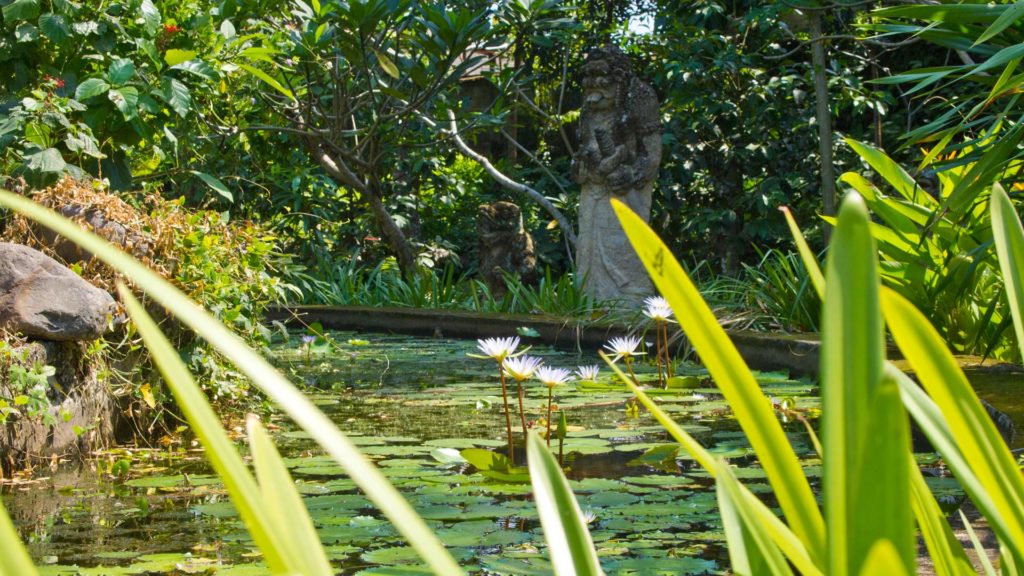 Kleiner Garten und Teich im Pura Gunung Sari