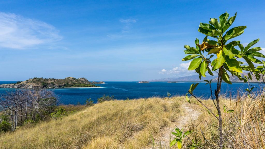 Ausblick auf die 17 Islands, Flores