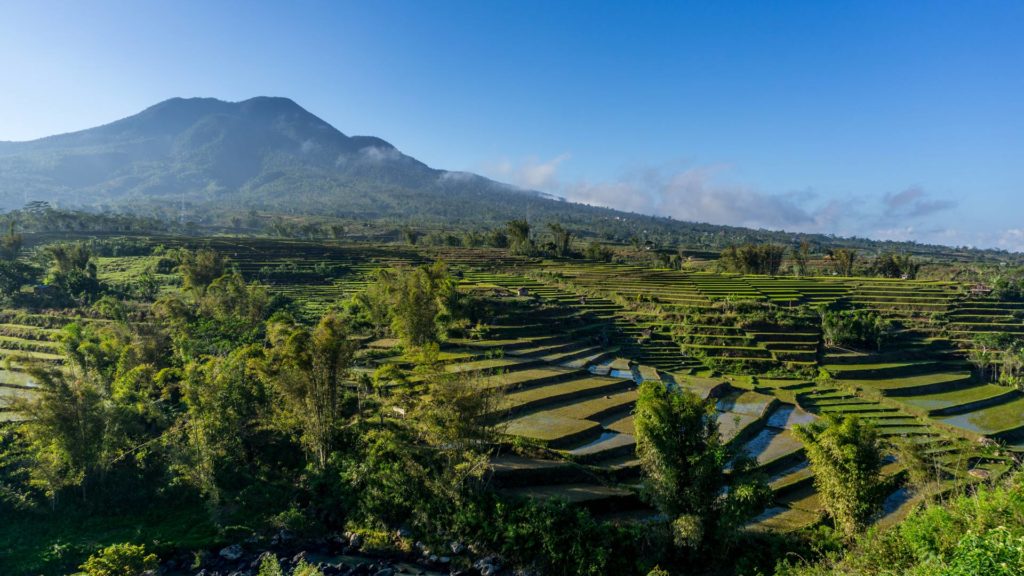 Grüne Berglandschaft und Reisterrassen bei Ruteng, Flores