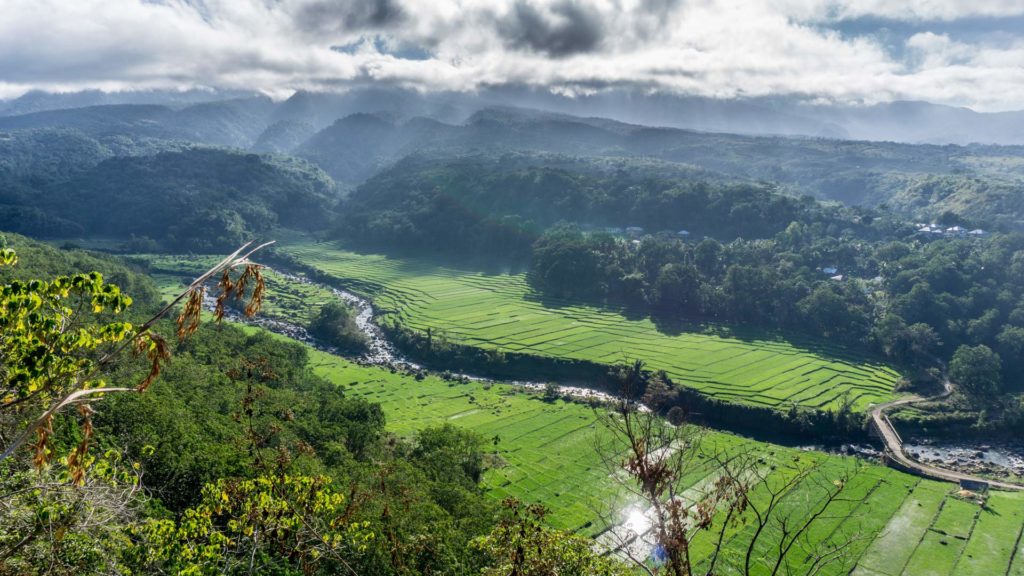 Grüne Berglandschaft und Reisterrassen bei Ruteng, Flores
