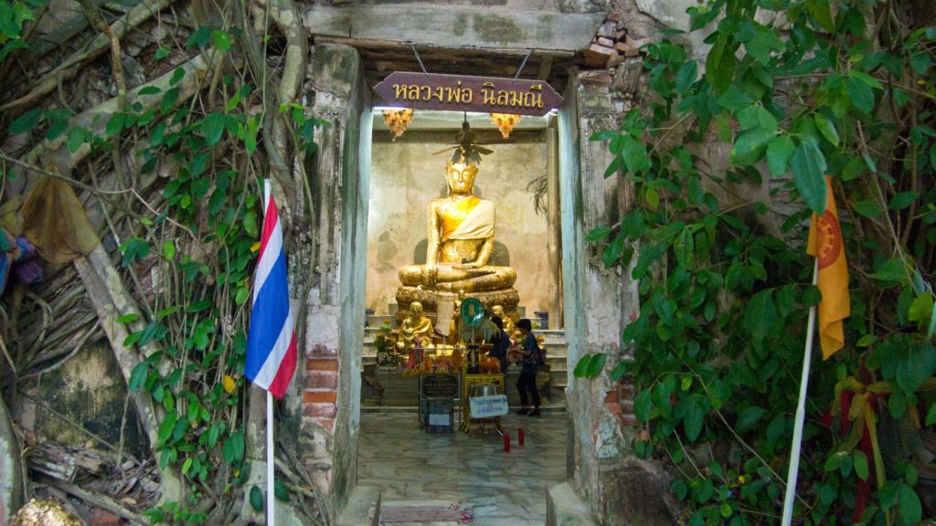 Der Wat Bang Kung, ein von Bäumen umschlungener Tempel