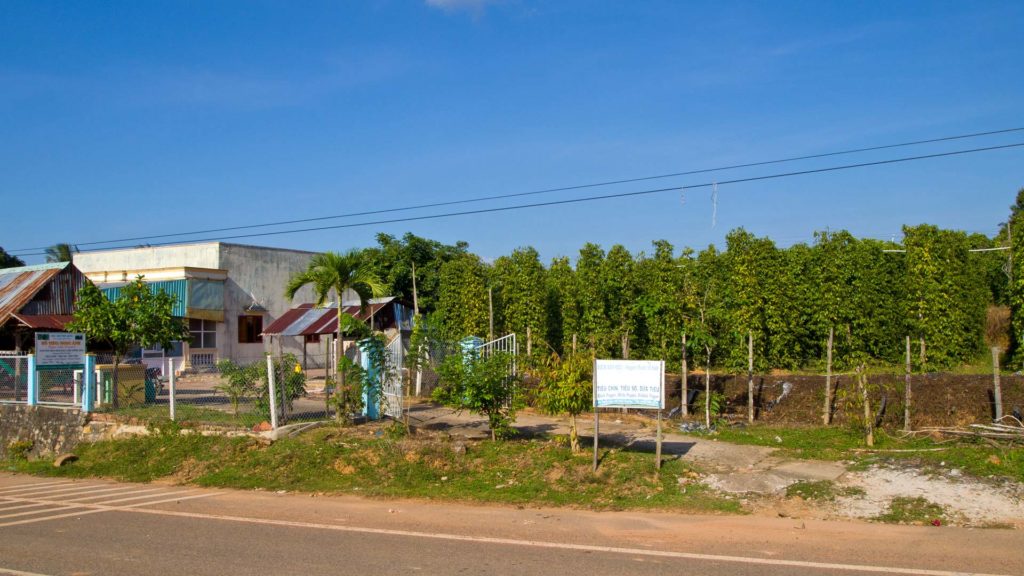 Some of the pepper farms along the road to the north of Phu Quoc