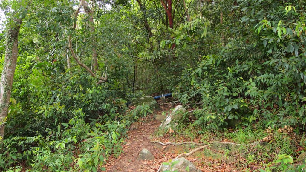 Jungle trail on Perhentian Besar