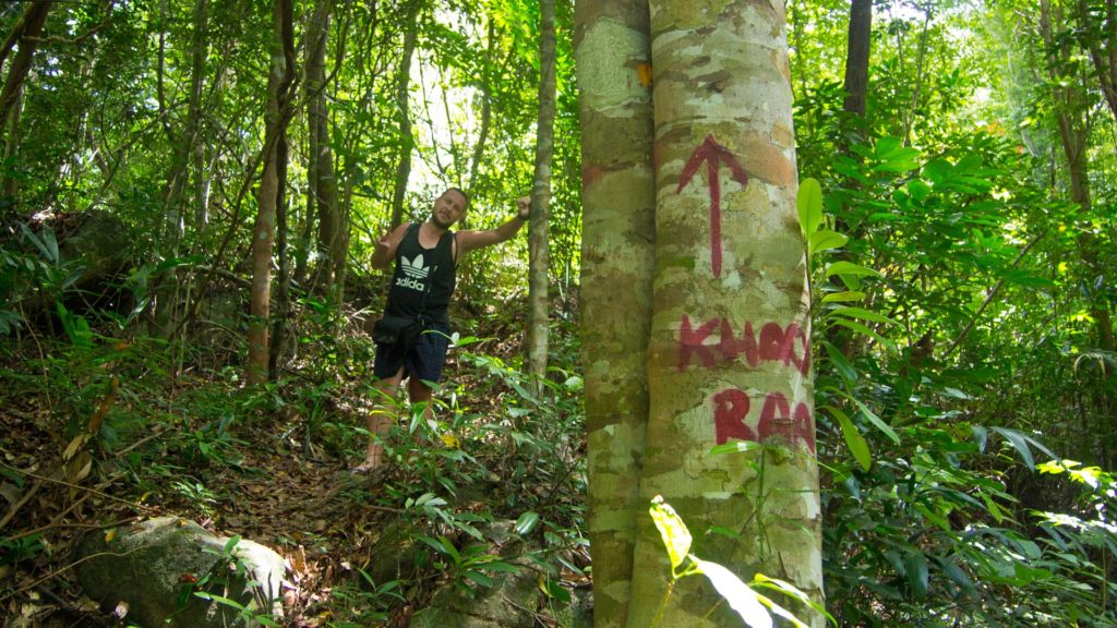 Tobi im Dschungel auf dem Weg zum Gipfel des Khao Ra