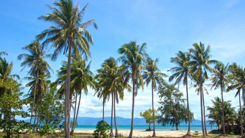 The Baan Tai Beach in Thong Sala on Koh Phangan