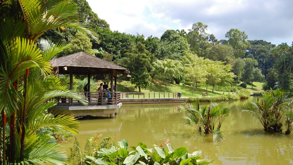 The Singapore Botanical Garden