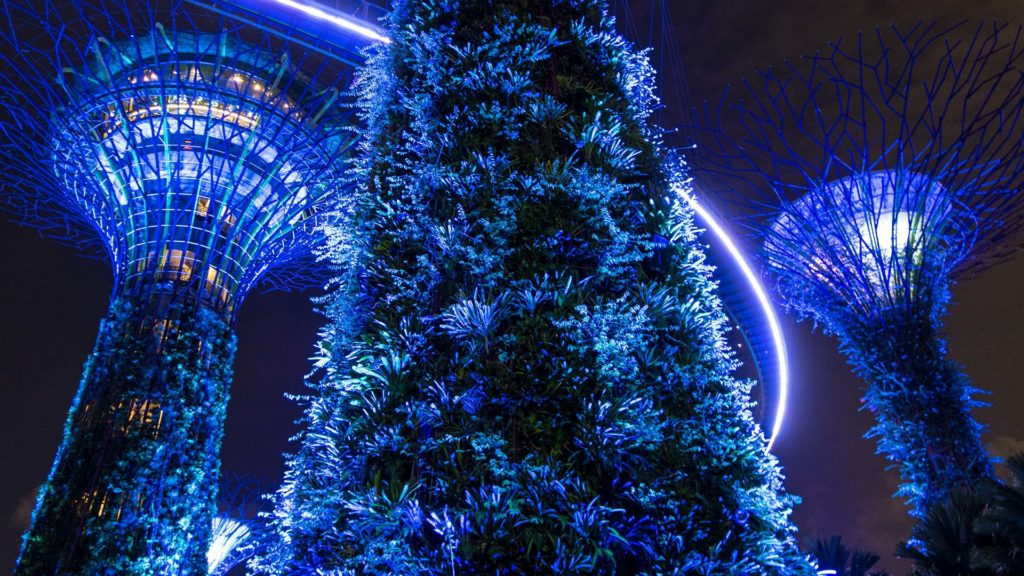 Die beleuchteten Supertrees im Gardens By The Bay bei Nacht