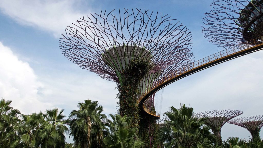 Die Super Trees im Gardens By The Bay von Singapur