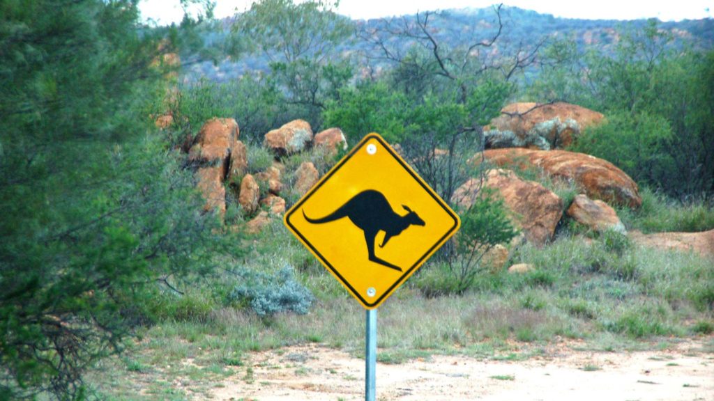 Känguru-Warnschild in Australien beim Work and Travel