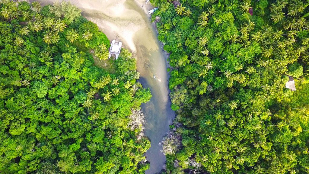 Der Dschungel von Tioman von oben - aufgenommen mit der DJI Mavic Pro