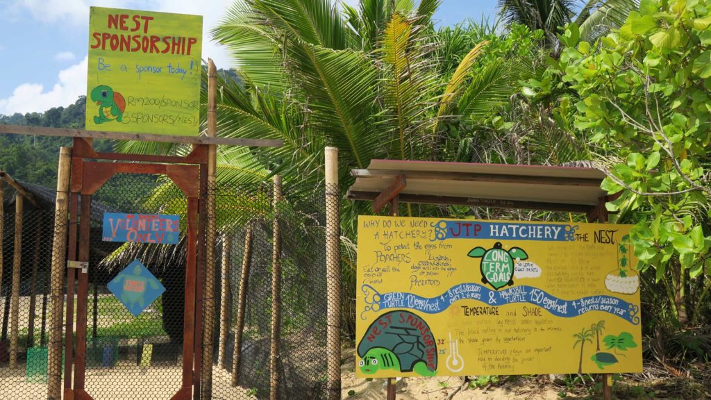 Juara Turtle Project - Schildkröten-Brutstätte direkt am Juara Beach auf Tioman