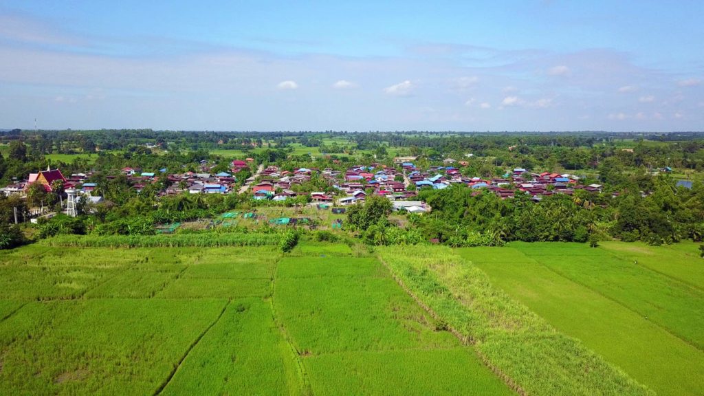 Reis- und Zuckerrohrfelder im Isaan, aufgenommen mit der DJI Mavic Pro