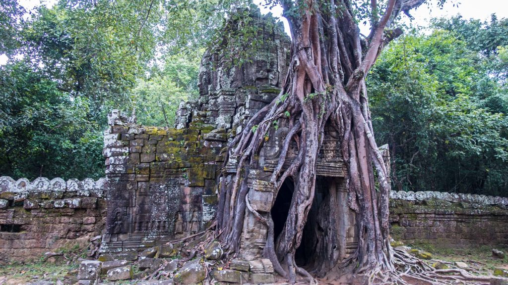 Eingewachsener Baum im Ta Som Tempel von Angkor Wat