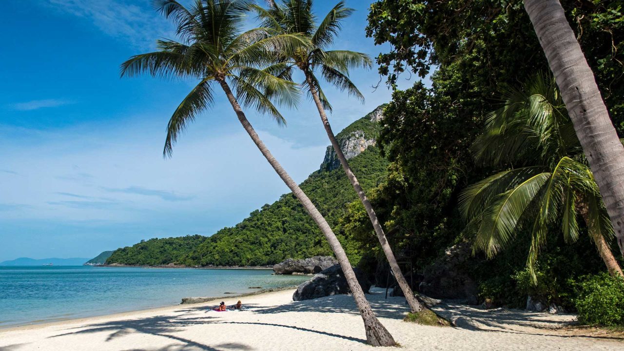Palm trees on the beach of Koh Wua Ta Lap in Ang Thong National Park