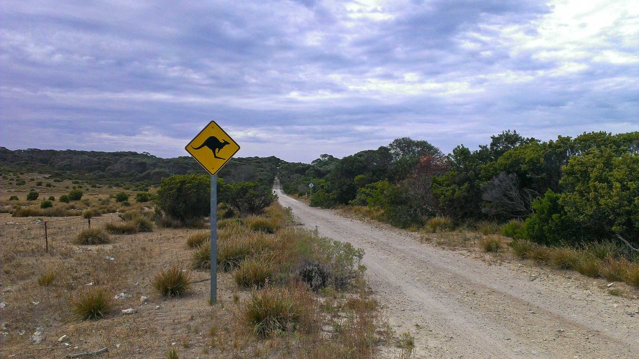 One of the ways in the Flinders Chase National Park on Kangaroo Island