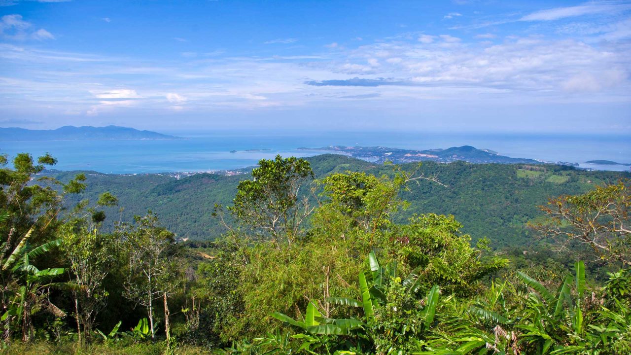 Der Koh Samui Viewpoint hoch in den Bergen der Insel
