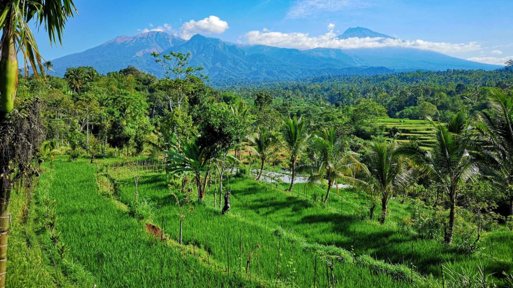 View from Tetebatu to Mount Rinjani (right) and Mount Sangkareang (left)