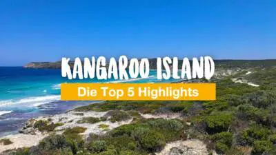 Kangaroo Island – die Top 5 Highlights