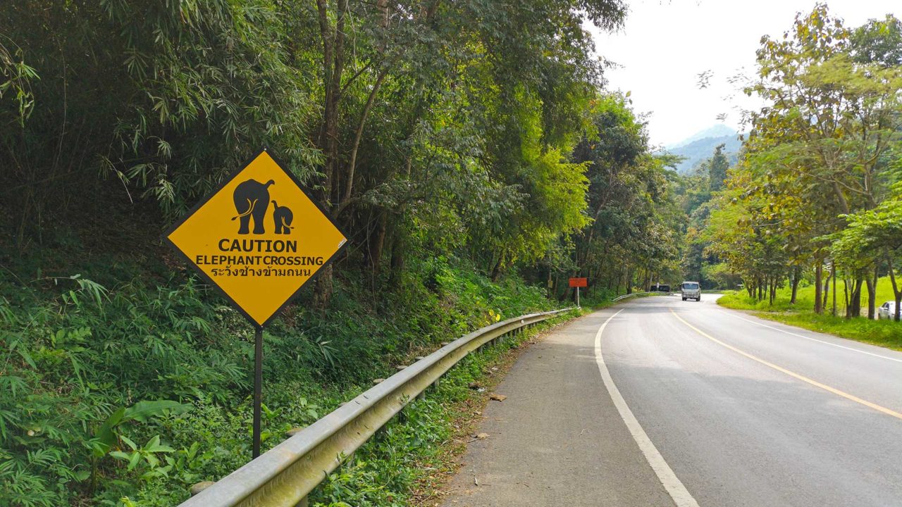 Vorsicht vor Elefanten auf der Straße beim Samoeng Loop