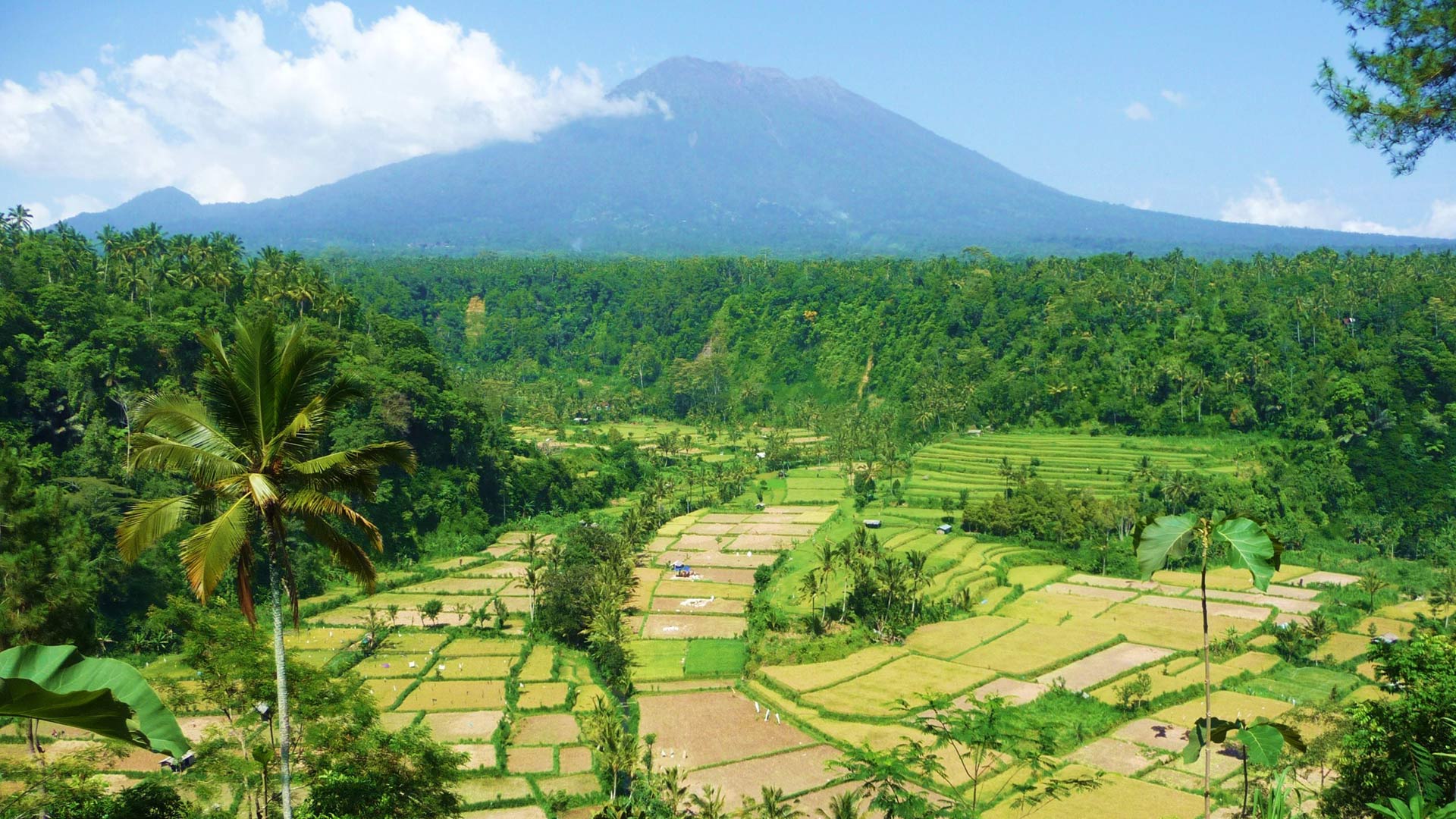 Mount Batur – Bali's most beautiful sunrise | Travel blog about