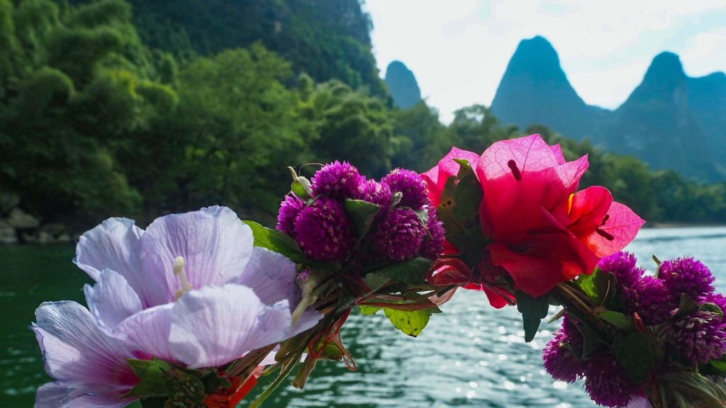 Flowers on the Li River in Guilin, China