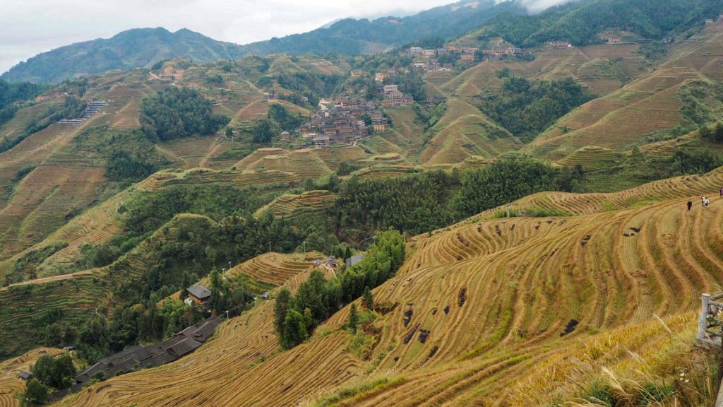 Longsheng rice terraces, China