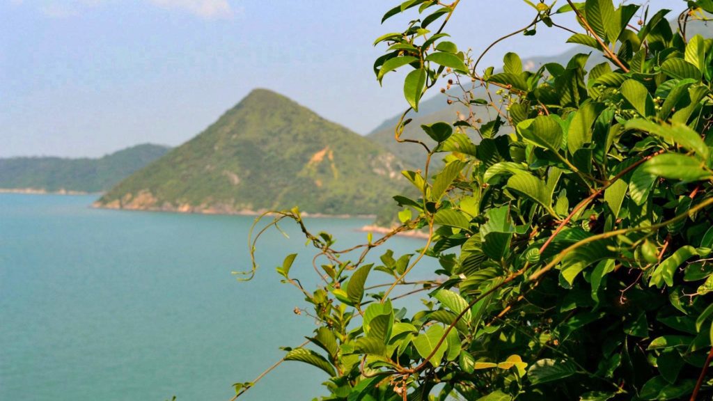 Hike to the fishing village Tai O, Hong Kong