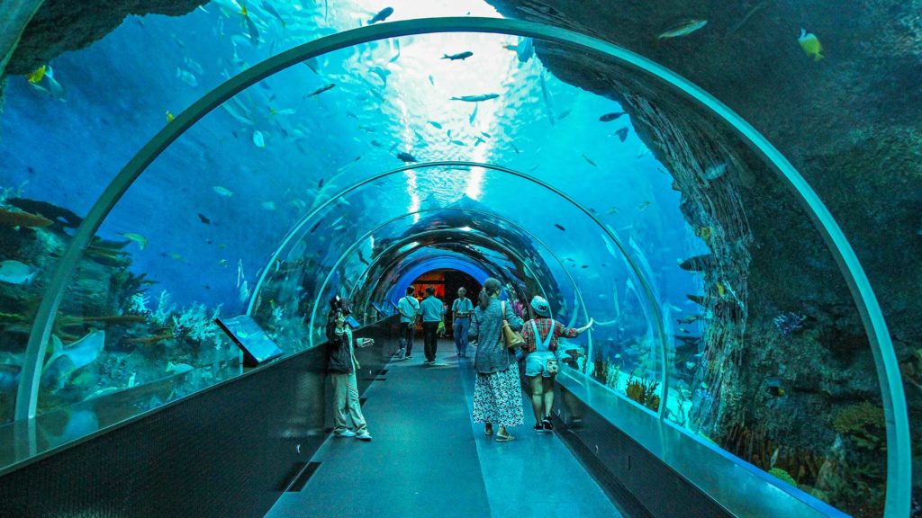 The fish-rich SEA Aquarium of Sentosa Island in Singapore