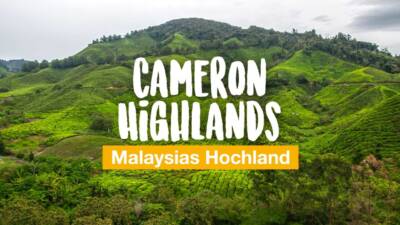 Cameron Highlands - auf Tour durch Malaysias Hochland