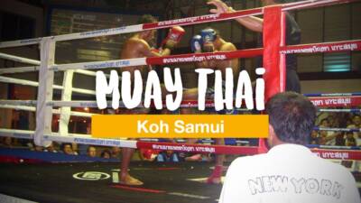 Muay Thai auf Koh Samui