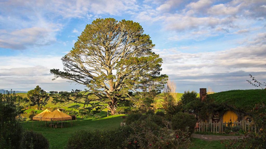 Der Festbaum der Hobbits, Hobbiton Movie Set Tours in Matamata, Drehort von Herr der Ringe und der Hobbit, Neuseeland