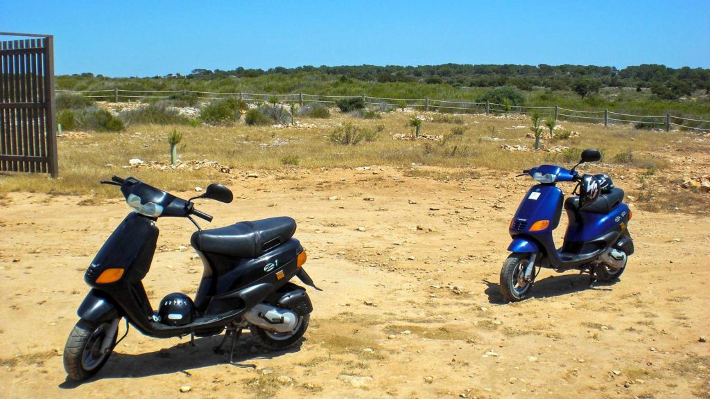 Roller auf Formentera, Balearen, Spanien