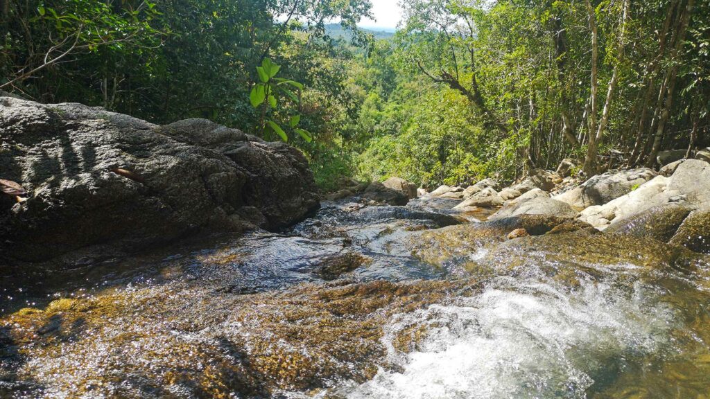 Naturpools auf den höheren Stufen des Phaeng Waterfalls auf Koh Phangan