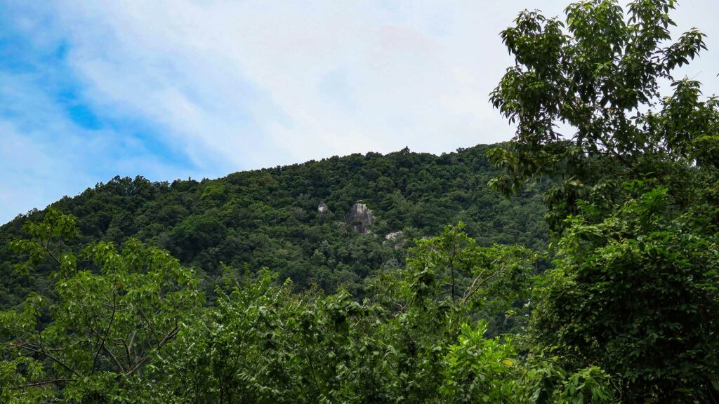 Der Aussichtspunkt und die grüne Dschungellandschaft am Haad Yuan, Koh Phangan